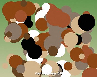 cattle_8.jpg