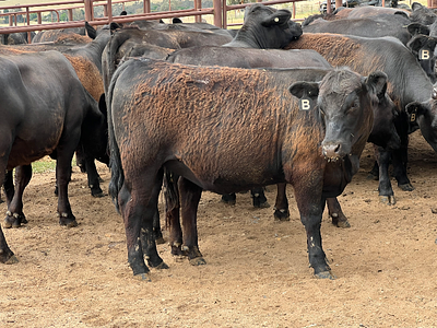 Future Breaders JUGIONG, S.jpg