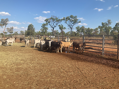 la_1_1638949013593872422_f32aaa1f-7d17-45e8-aeda-3dfc09594a78 copy 5.jpg